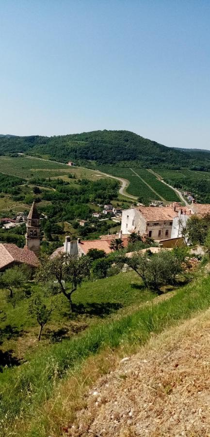 Rooms Serafin-Lavanda Motovun Dış mekan fotoğraf