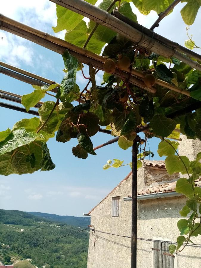 Rooms Serafin-Lavanda Motovun Dış mekan fotoğraf