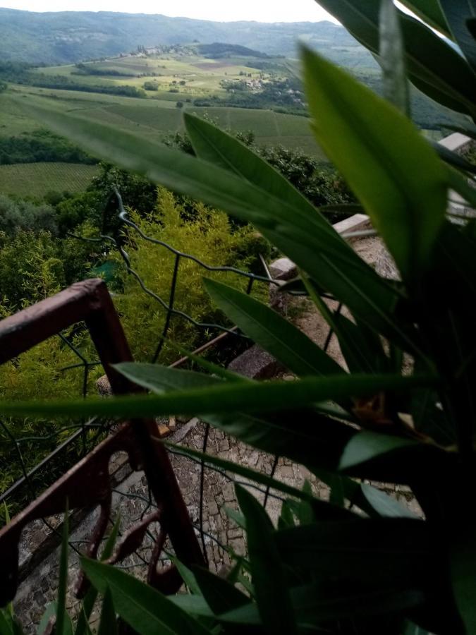 Rooms Serafin-Lavanda Motovun Dış mekan fotoğraf